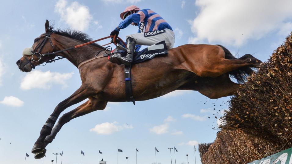 Jumps horse Diego Du Charmil
